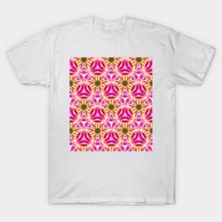 Stargazer Kaleidoscope 8 T-Shirt